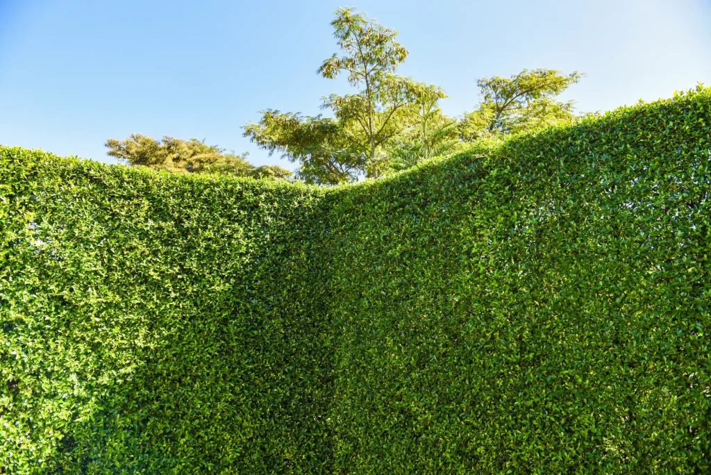 Paysagiste - Entretien de jardins, tonte, taille, élagage à Lons-le-Saunier et alentours